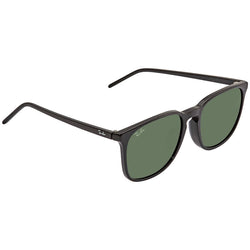 ray ban rb4387f