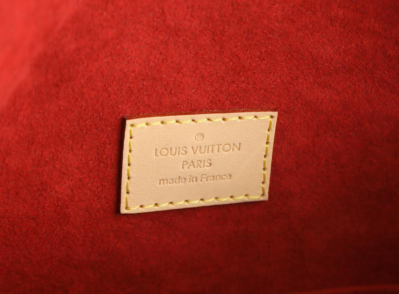 Louis Vuitton Gaia Brown Monogram Canvas Hobo Bag – LuxeDH