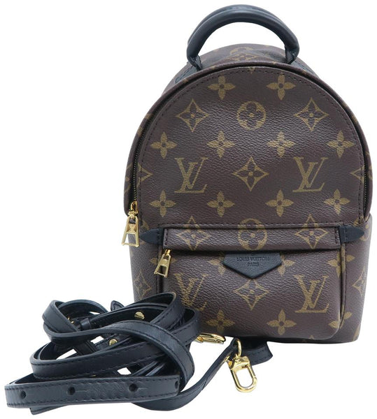 Louis Vuitton Palm Springs Mini Brown Monogram Canvas Backpack – LuxeDH
