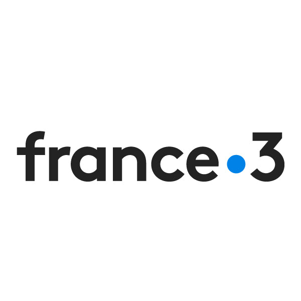France 3 Media