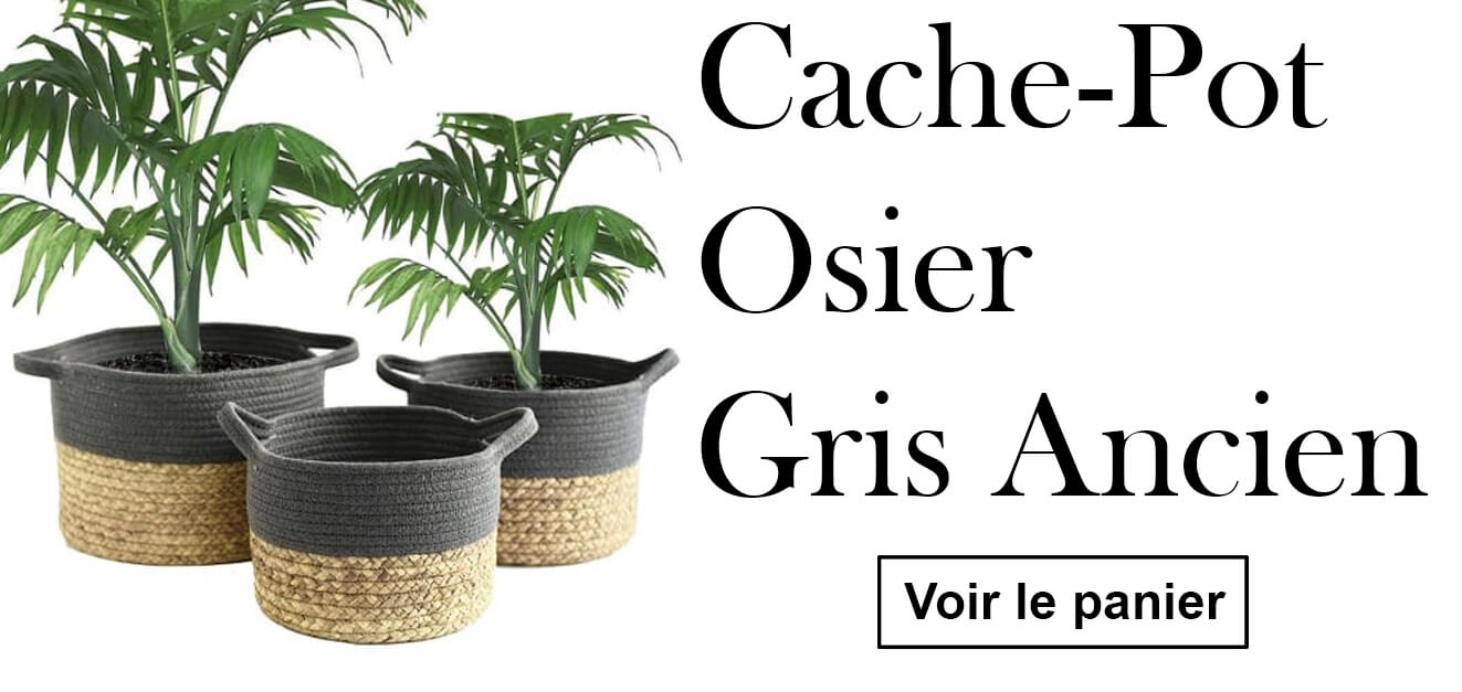 cache-pot-osier-gris-vintage