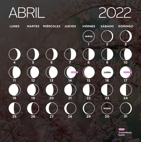 Crecimiento-fuerte-cabello-calendario-lunar-abril-magic-hair-oficial