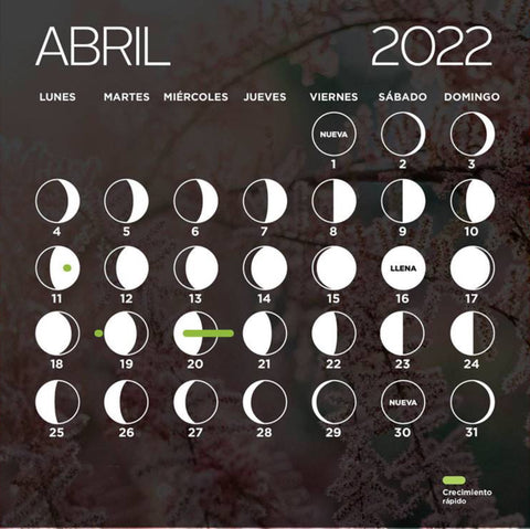 Crecimiento-rapido-cabello-calendario-lunar-abril-magic-hair-oficial