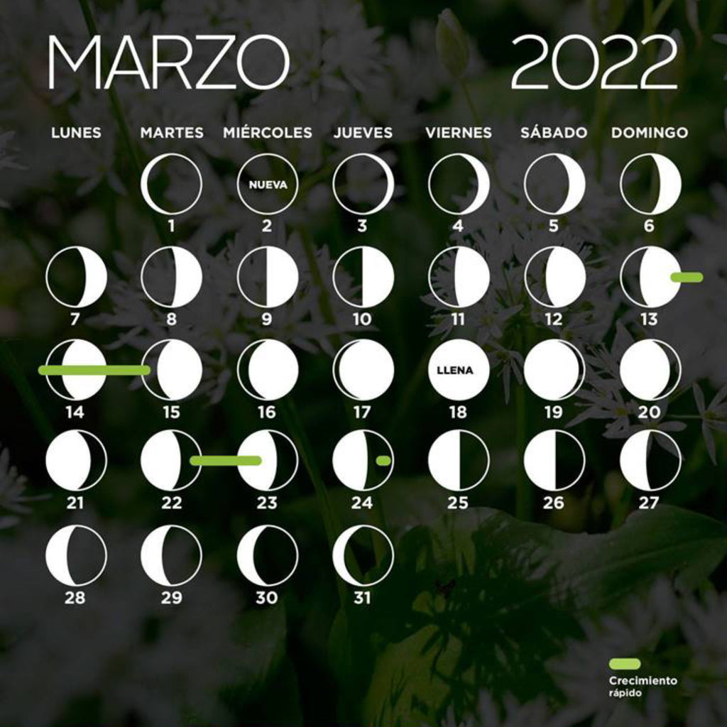 Crecimiento-rapido-cabello-calendario-lunar-marzo-2022-magic-hair-oficial