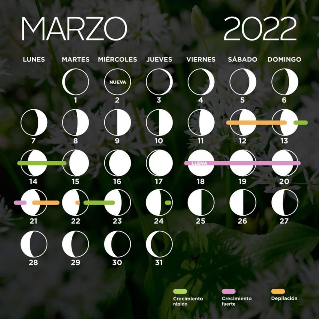 Cuando-cortar-cabello-marzo-2022-calendario-lunar-magic-hair-oficial