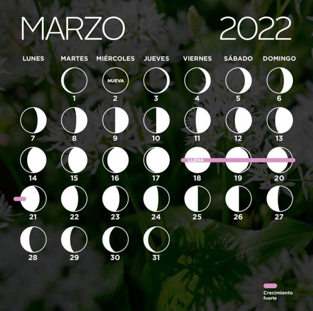 Crecimiento-fuerte-pelo-calendario-lunar-marzo-2022-magic-hair-oficial