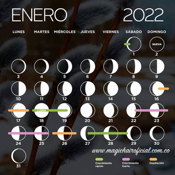 Calendario-Lunar-enero-2022-magic-hair-oficial