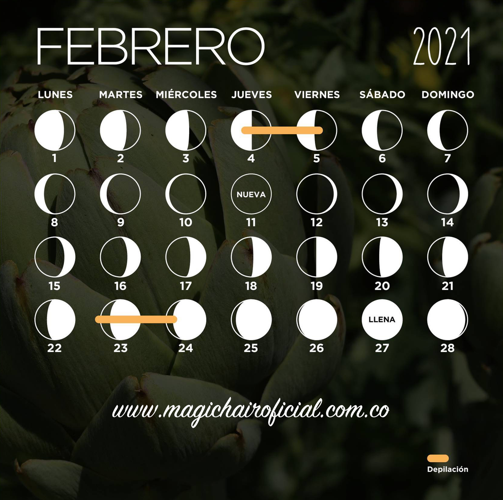 Calendario lunar: febrero 2024 (fases de la luna, corte de pelo y  depilación)