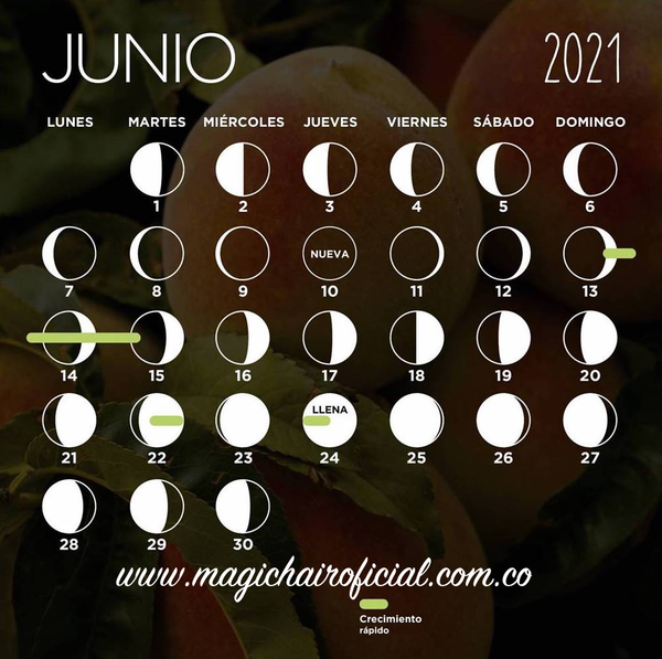 calendario-lunar-junio-2021-crecimiento-rapido-cabello-magic-hair-oficial