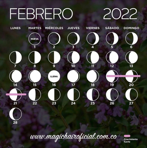 Calendario lunar: febrero 2024 (fases de la luna, corte de pelo y  depilación)