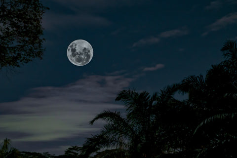 Calendario-lunar-febrero-magic-hair