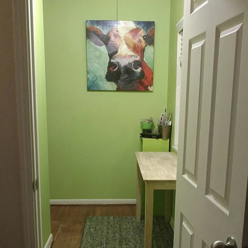 Customer project of hallway wall painted in frosted green TemPaint wallpaper paint.