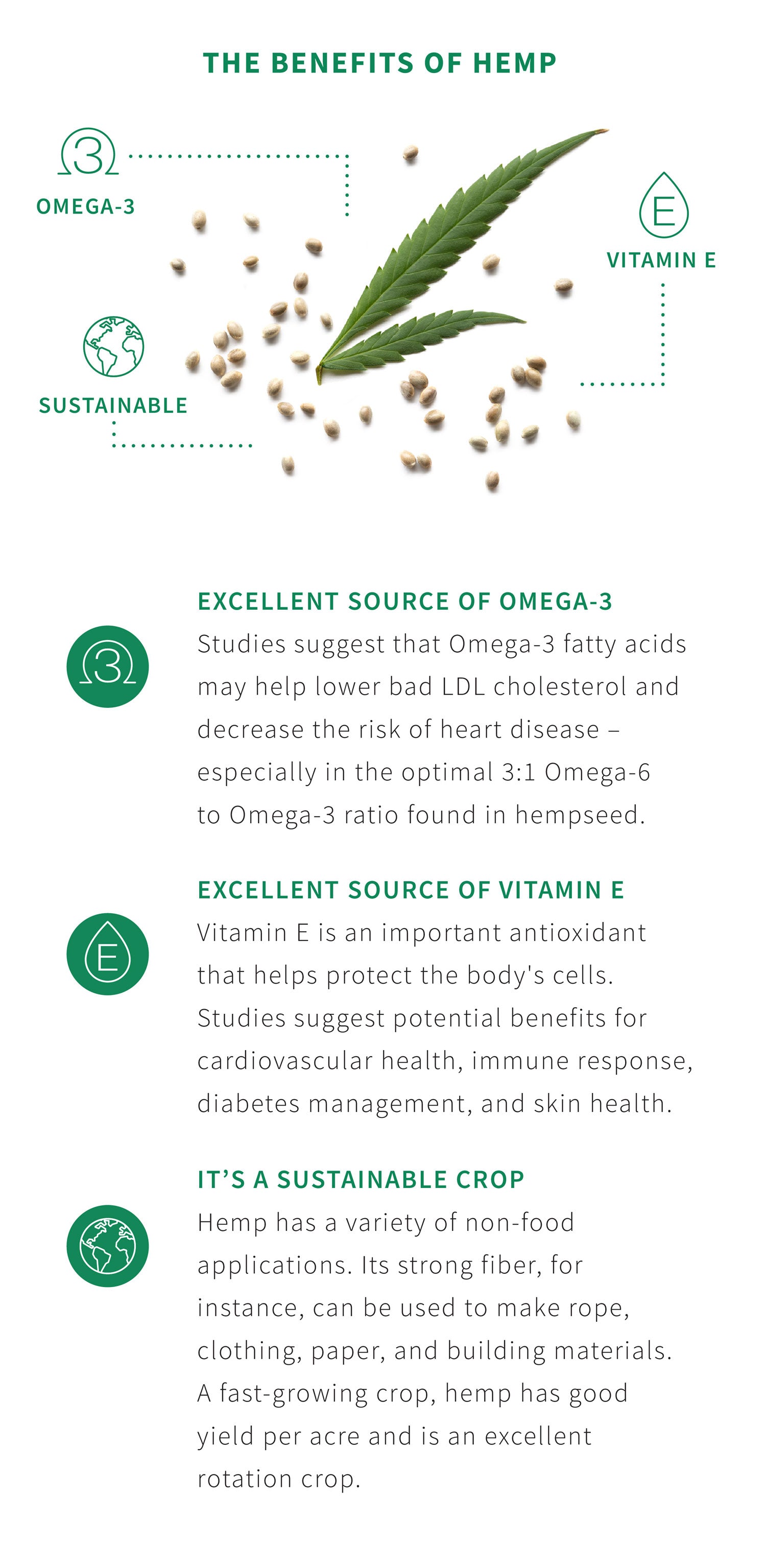 10 health benefits hemp seeds infographic Vector Image