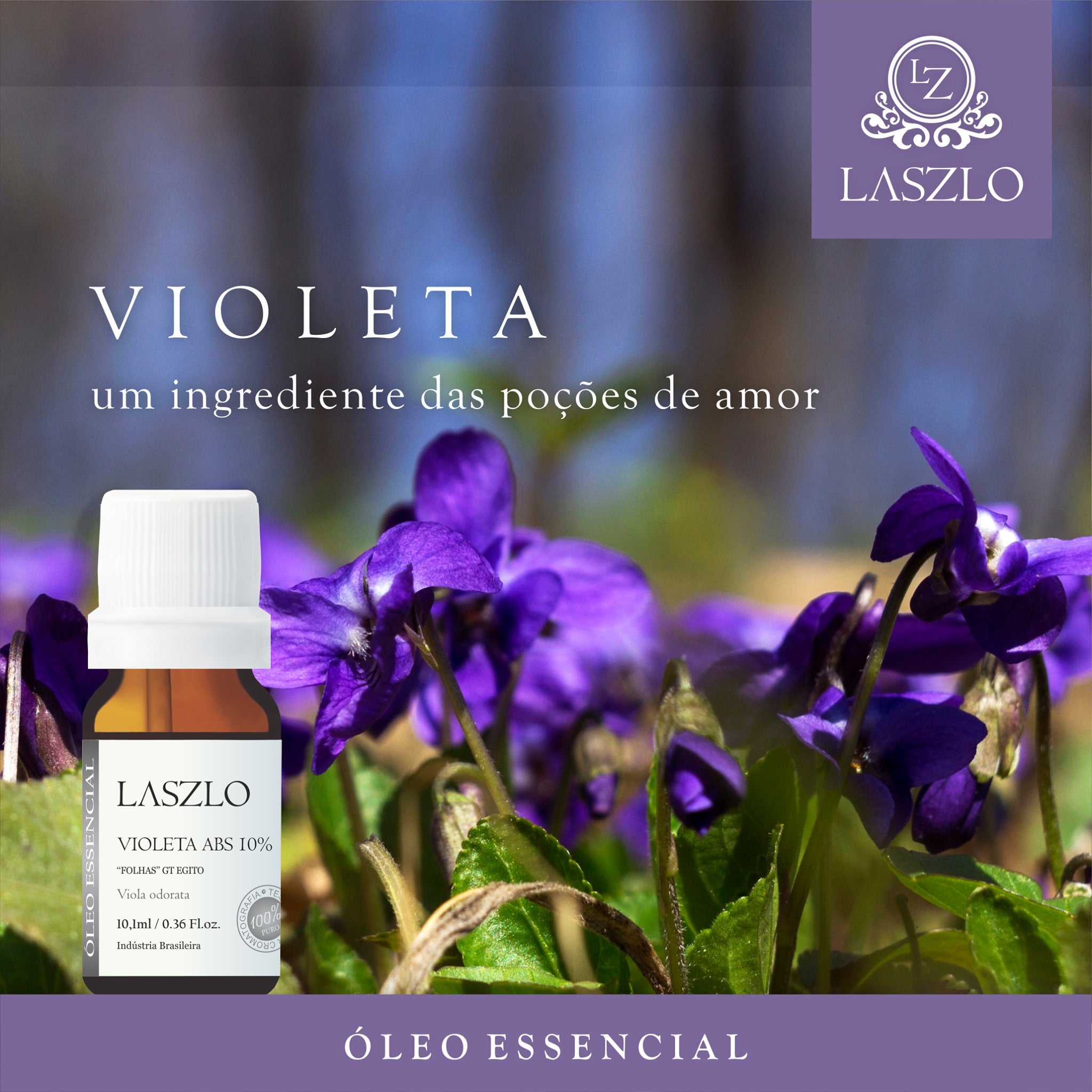 ÓLEO ABSOLUTO DE VIOLETA, UM INGREDIENTE DAS POÇÕES DE AMOR ? – Mundo dos  Óleos