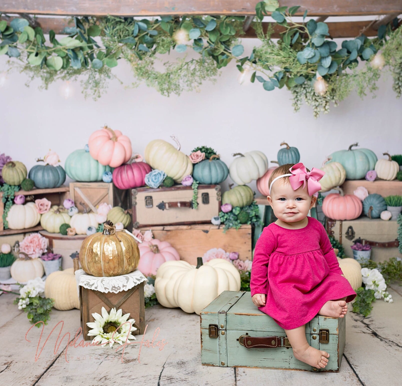 Girly Pumpkins Baby Dream Backdrops