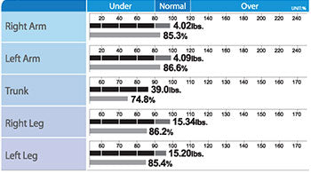 Segmental Lean Analysis