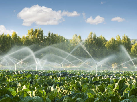 Pumps and Irrigation