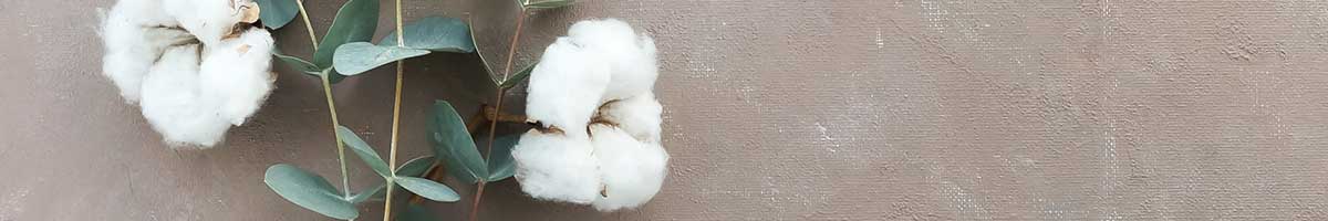 White stemmed cotton flowers with green leaves