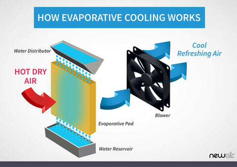 evaporative cooler