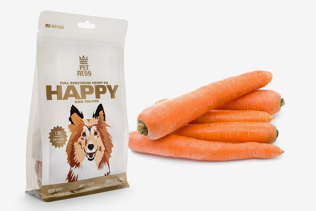 Are Carrots Good For Dogs? Why Your Pup Will Love Them PetNess