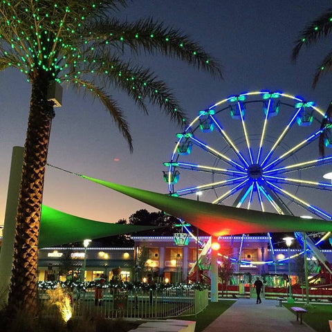 Holiday, Christmas, Ferris wheel, Lights, Palm trees