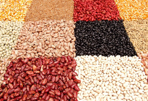 different types of beans used in vegan foods