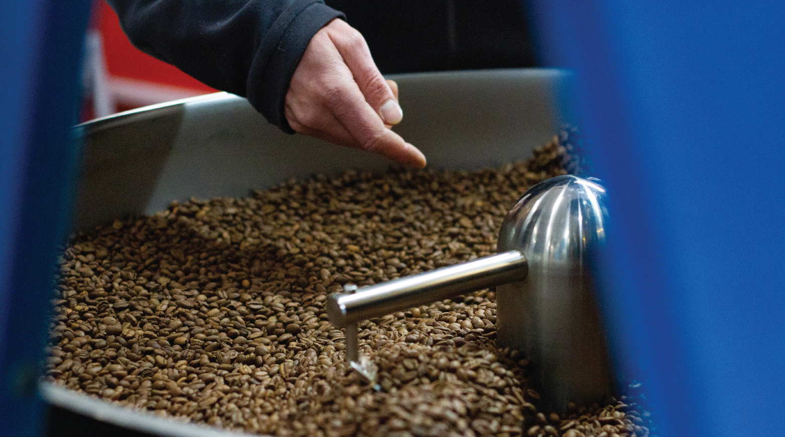 Coffee roasting freshness