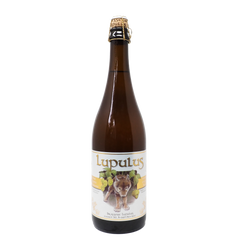 Lupulus Blonde - Køl