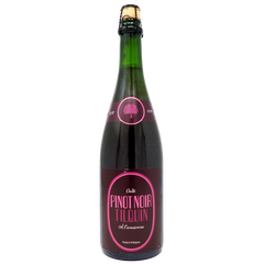 Gueuzerie Tilquin. Oude Pinot Noir Tilquin à lAncienne - Køl