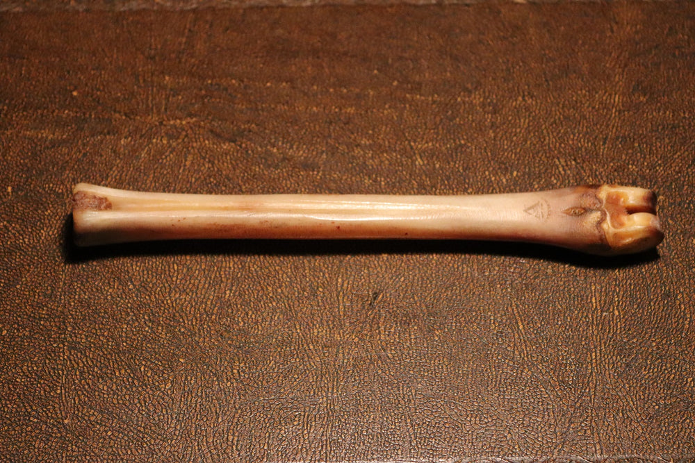 abbeyhorn deer polishing bone