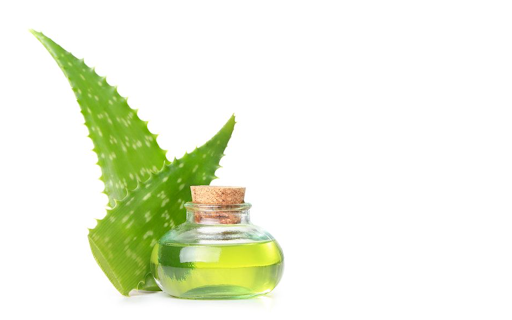 aloe vera extract in a small bottle with aloe leaves behind