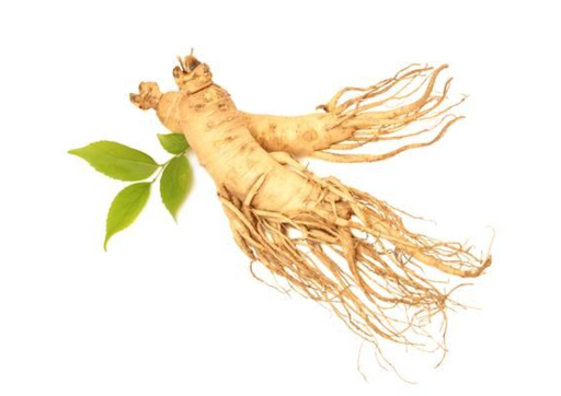 image of ginseng root