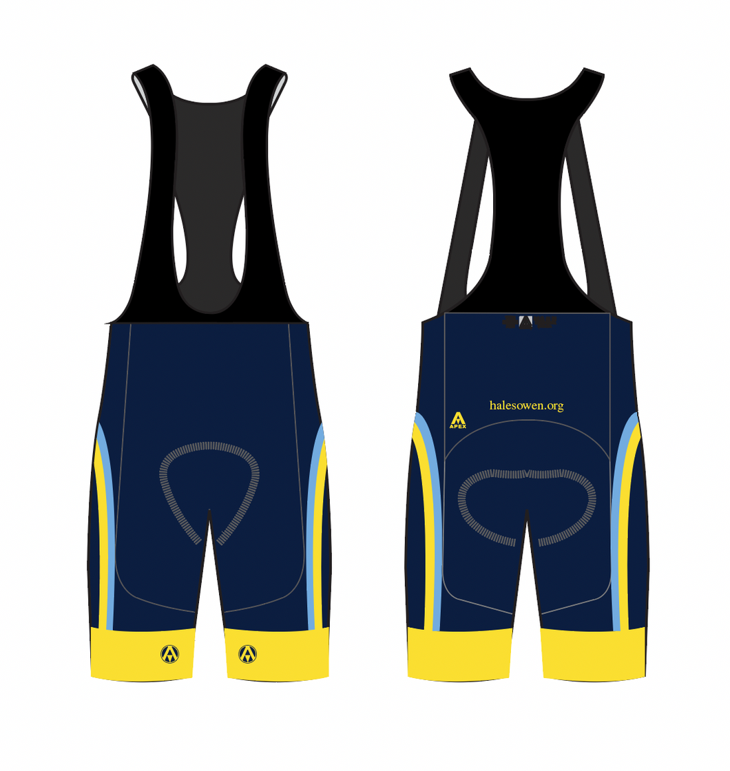 tri bib shorts