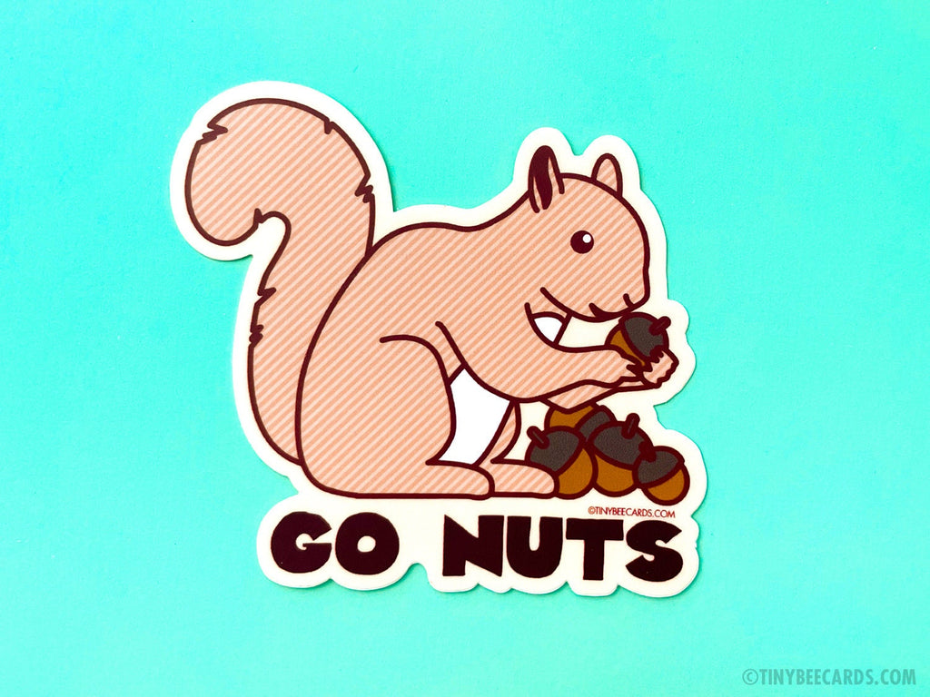 squirrel hides nuts in truck