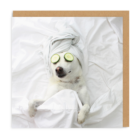 retirement card showing a dog being pampered. the dog is lying on his back with a towel wrapped around its head and cucumber slices on its eyes