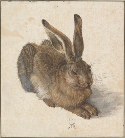 Young Hare Painting by Albrecht Dürer