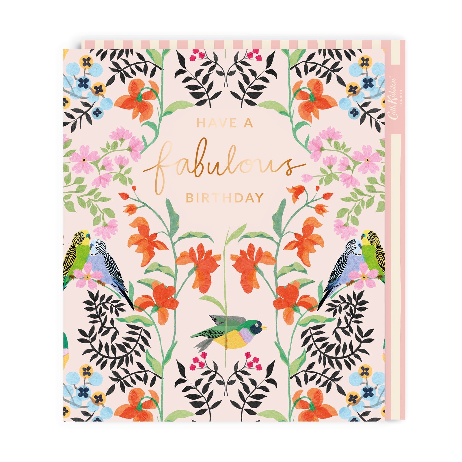Happy Birthday Card | Perfect Card For Her | Ohh Deer x Cath Kidston | Eco-Friendly Greeting Cards | Fabulous Birthday Birds