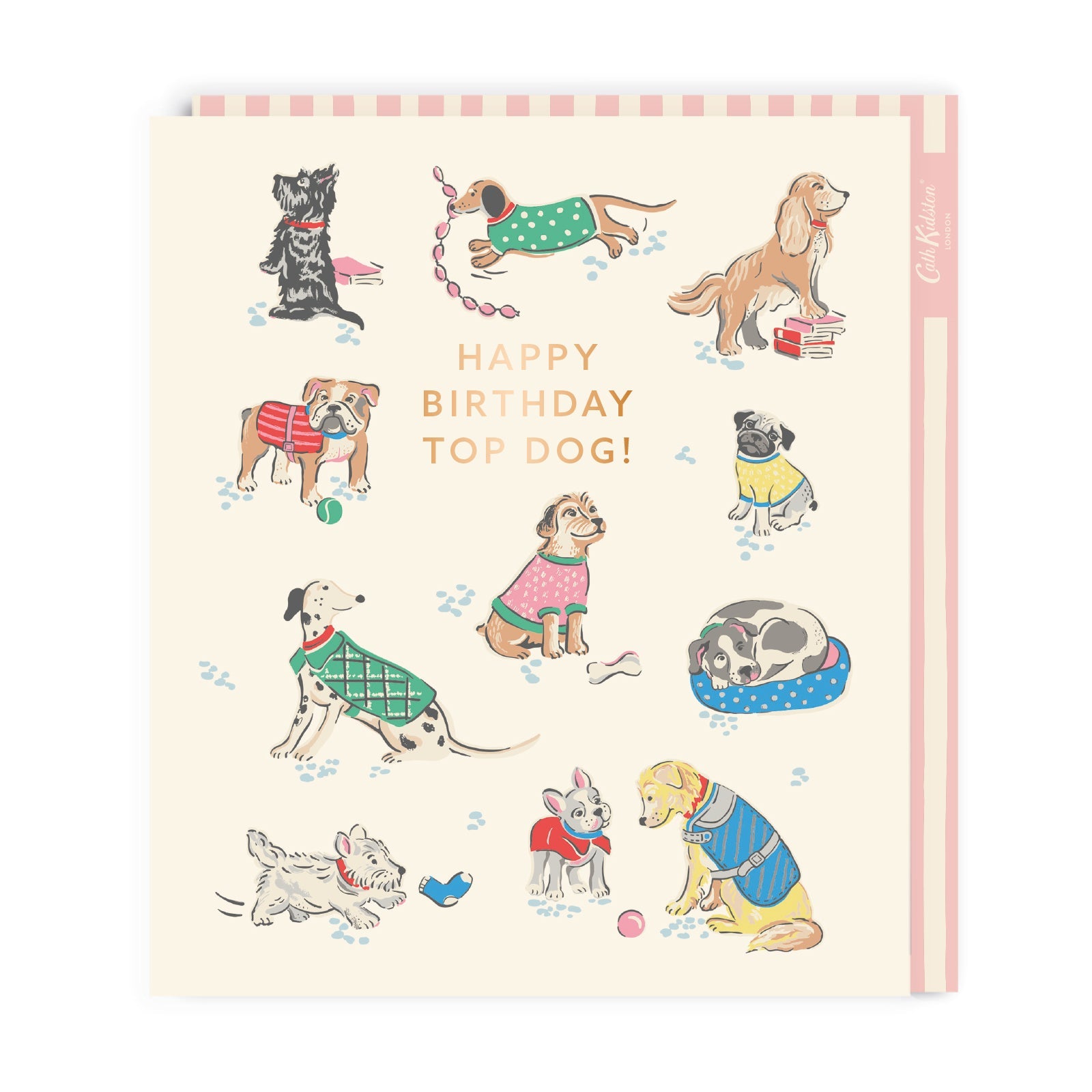 Top Dog Large Birthday Card