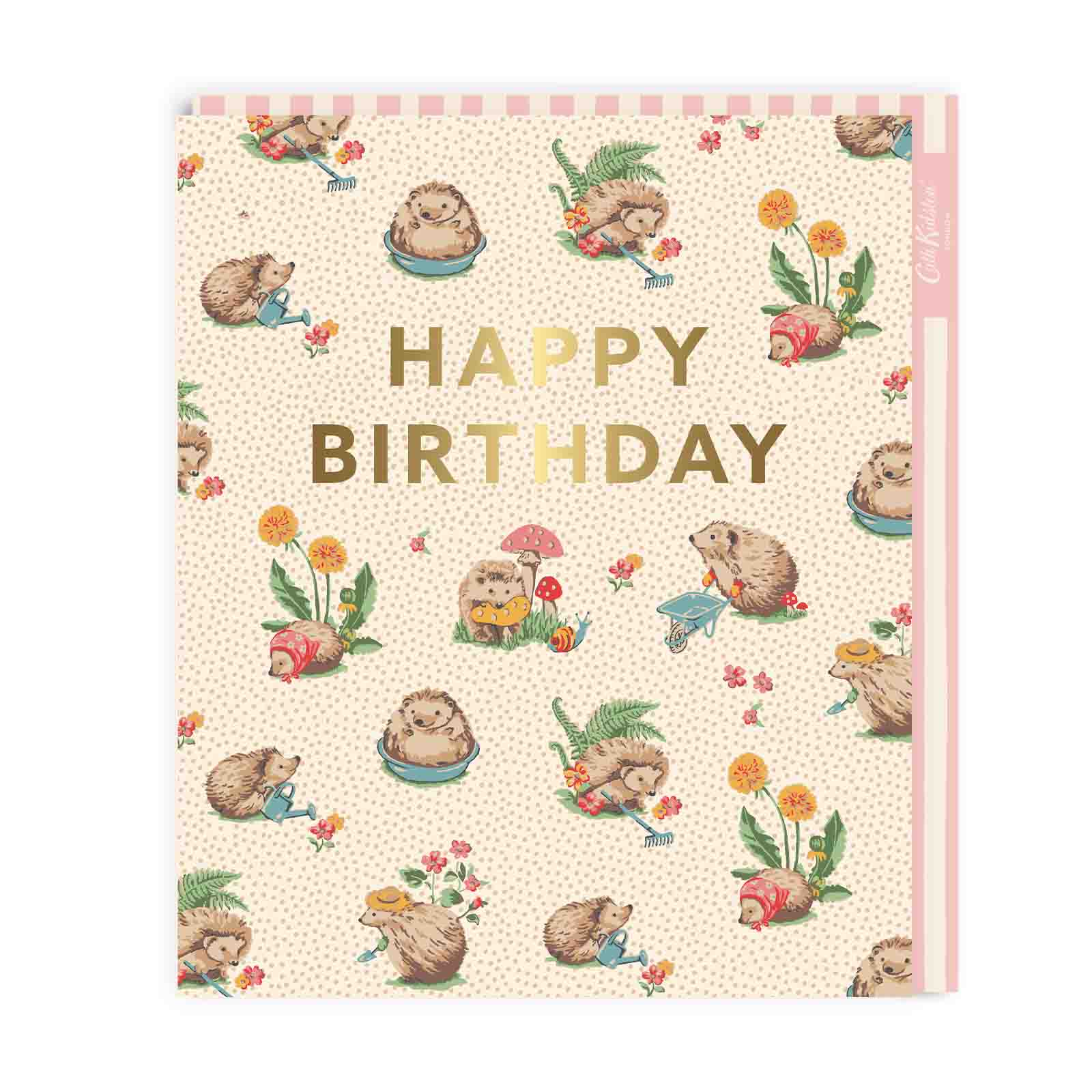 Hedgehogs Happy Birthday Card