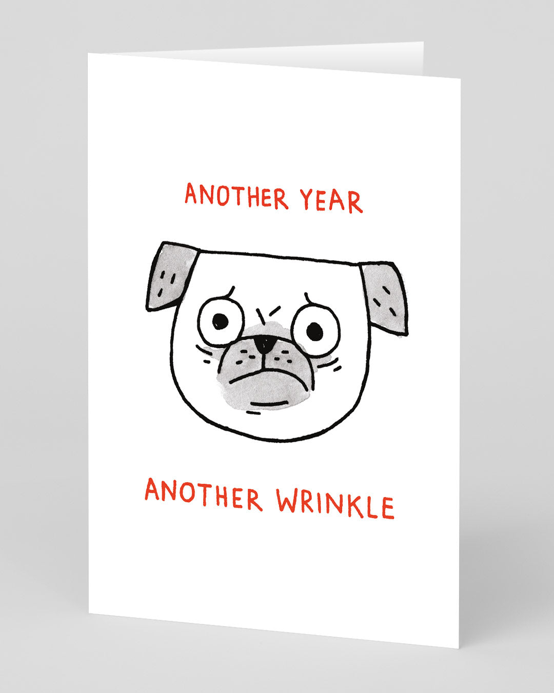 Funny Birthday Card Another Year Another Wrinkle Brithday Card