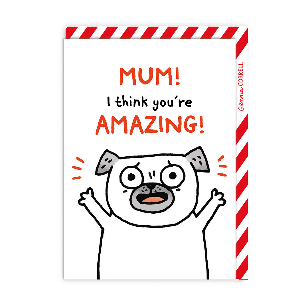 I Think You’re Amazing Mother’s Day Card