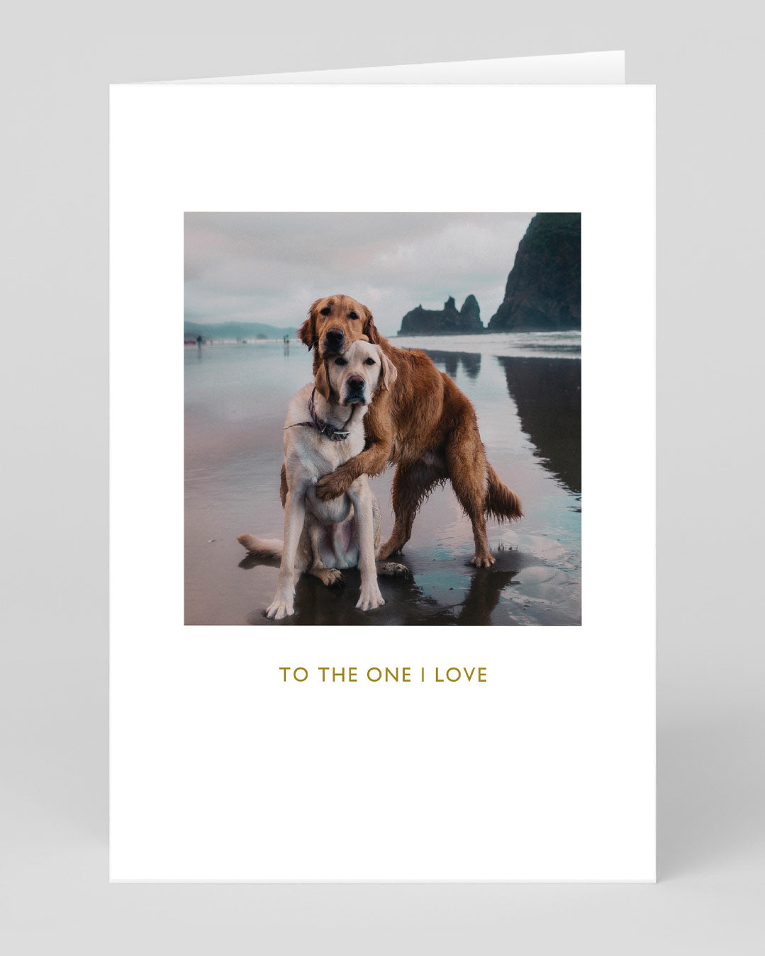 Valentine’s Day | Cute Valentines Card For Dog Lovers | Beach Dogs Hug Greeting Card | Ohh Deer Unique Valentine’s Card for Him or Her | Made In The UK, Eco-Friendly Materials, Plastic Free Packaging