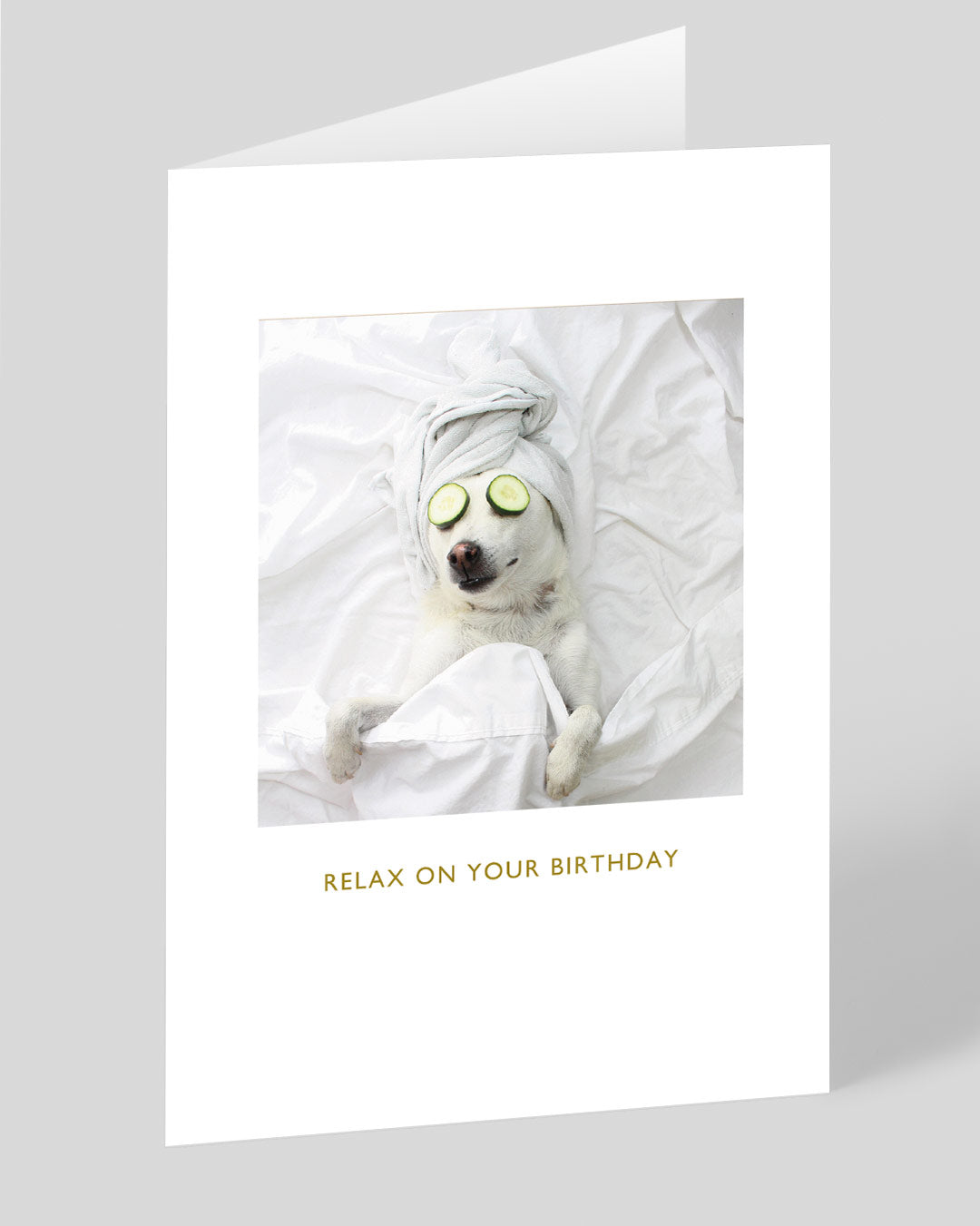 Birthday Card Pampered Pooch Birthday Card