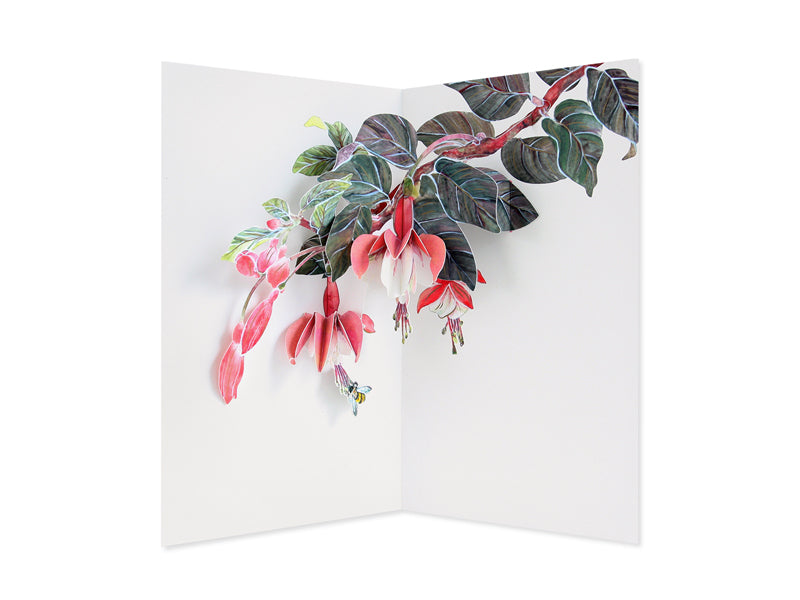 Fuchsia 3D Layered Greeting Card