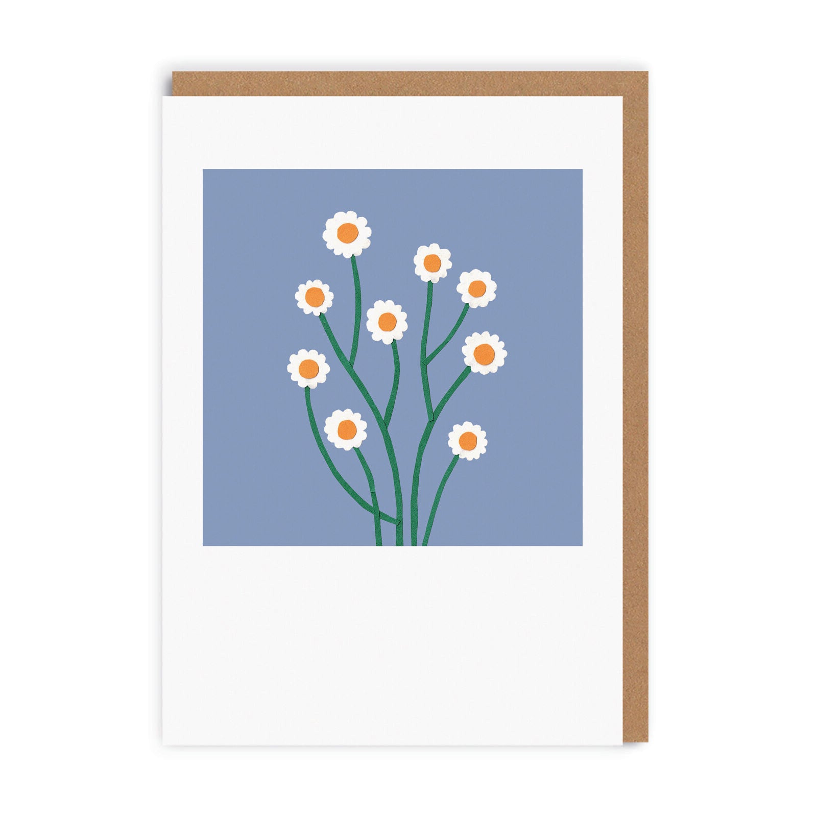 Daisies Greeting Card