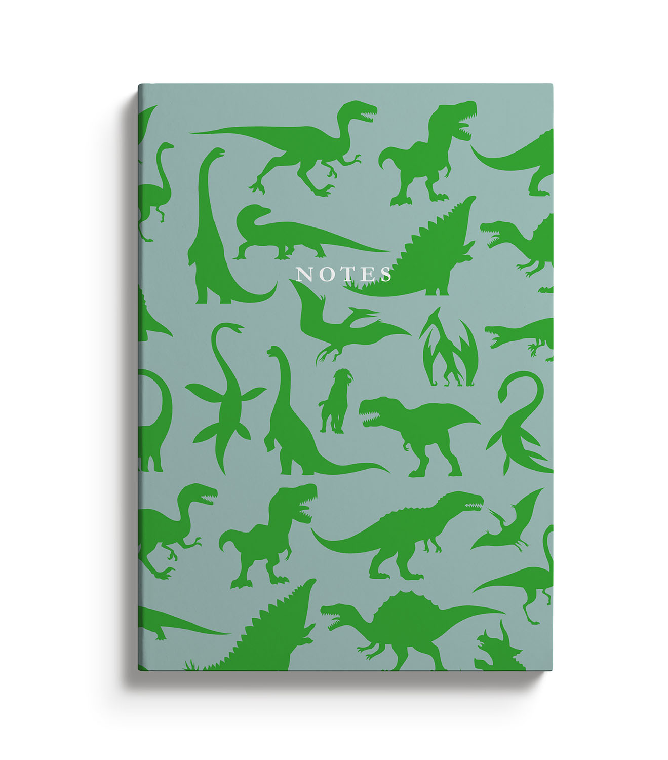 Dinosaurs Green & Blue Notebook