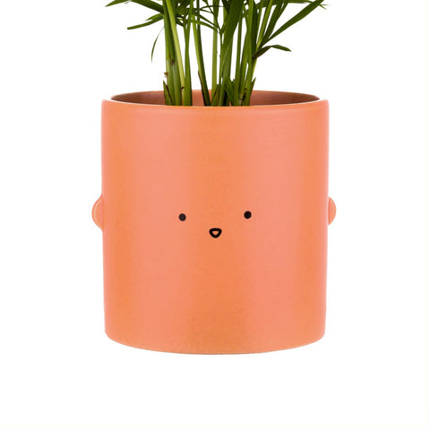 toki plant pot, face plant pot