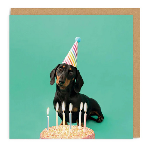 dog birthday card showing a sausage dog with a birthday hat on in front of a birthday cake 