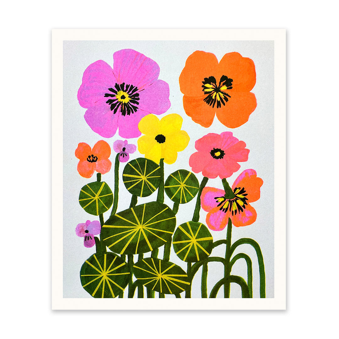 Nasturtiums Art Print