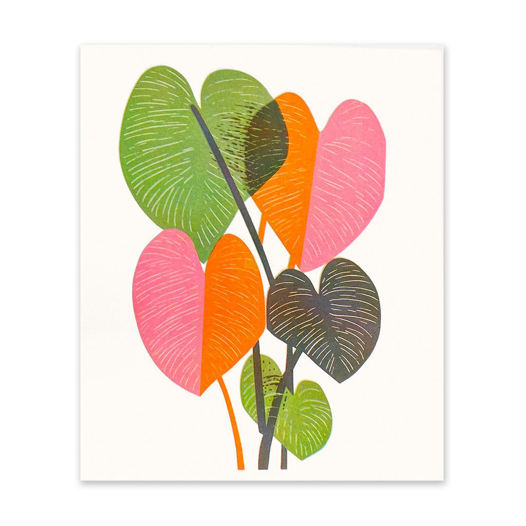 Colourful House Plant Art Print